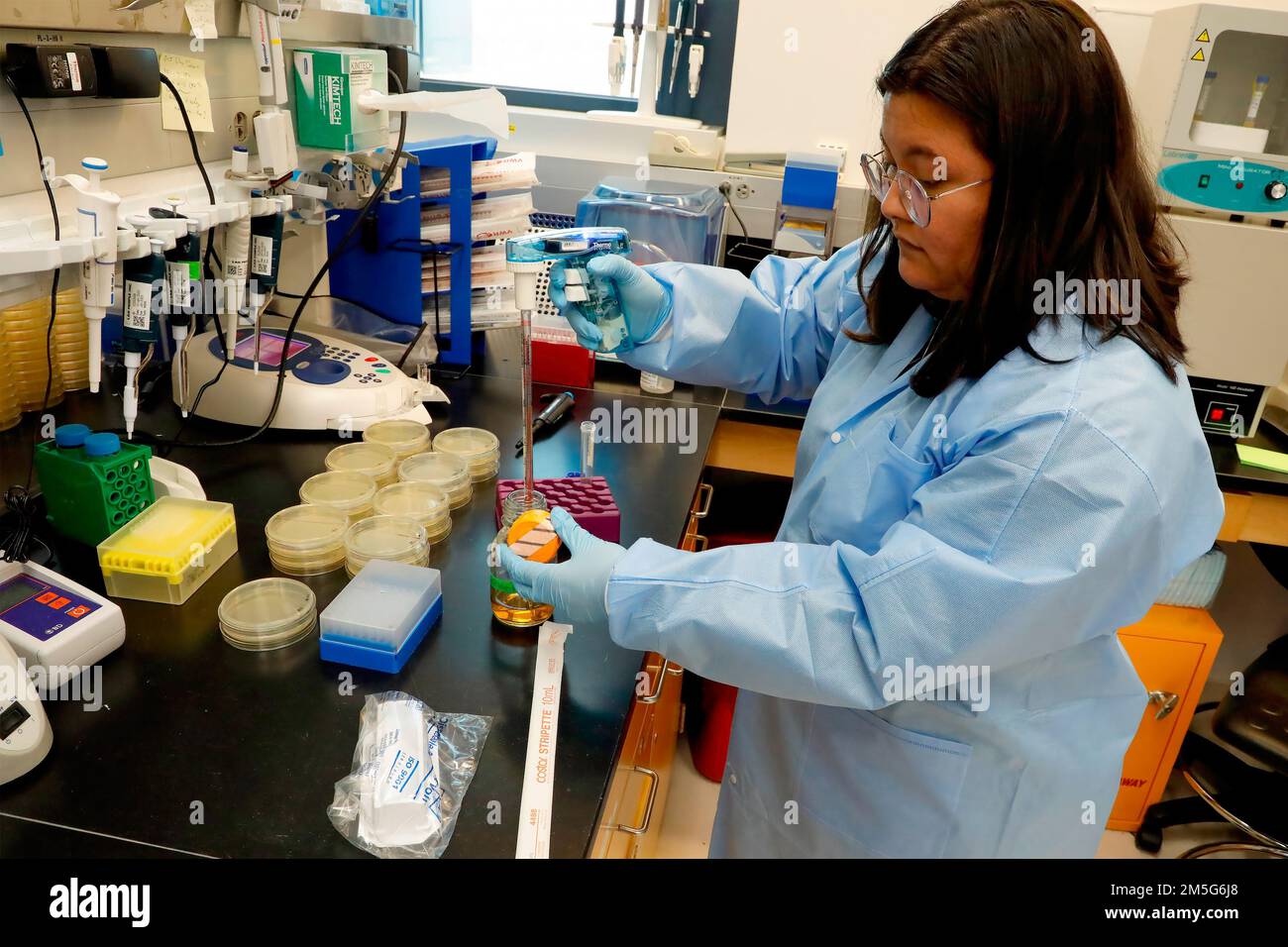 SILVER SPRING, Md (16 marzo 2022) – Ashley Miller, assistente di ricerca presso il Naval Medical Research Center (NMRC), misura una soluzione batterica per la misurazione in un fotometro spettrale nel laboratorio della Combat Weds Database Division. Parte del Dipartimento delle infezioni di NMRC, la Combat Wound Database Division sviluppa e valuta nuovi trattamenti per combattere le infezioni cutanee e dei tessuti molli associate a organismi multi-resistenti alle lesioni. Foto Stock