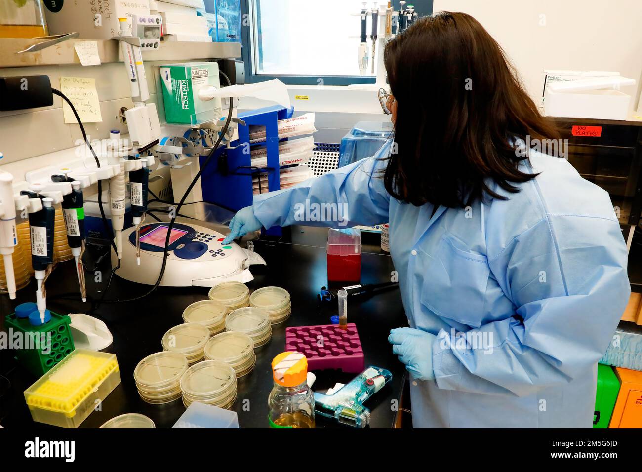 SILVER SPRING, Md (16 marzo 2022) – Ashley Miller, assistente di ricerca presso il Naval Medical Research Center (NMRC), si prepara a misurare la densità ottica di una soluzione batterica in uno spettrofotometro nel laboratorio della Combat Wedes Database Division. Parte del Dipartimento delle infezioni di NMRC, la Combat Wound Database Division sviluppa e valuta nuovi trattamenti per combattere le infezioni cutanee e dei tessuti molli associate a organismi multi-resistenti alle lesioni. Foto Stock