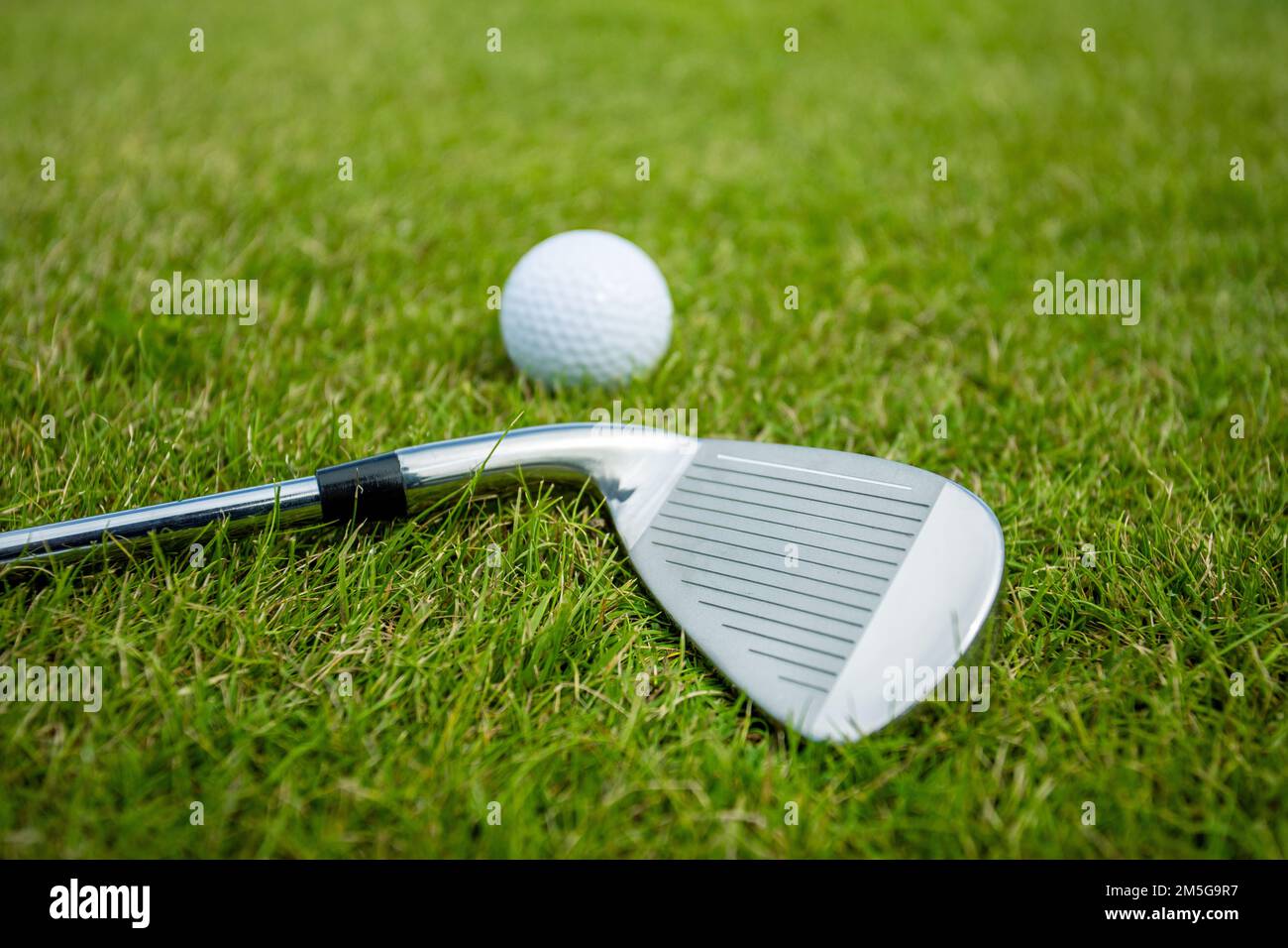 Golf club e palla su un prato verde, sfondo Foto Stock