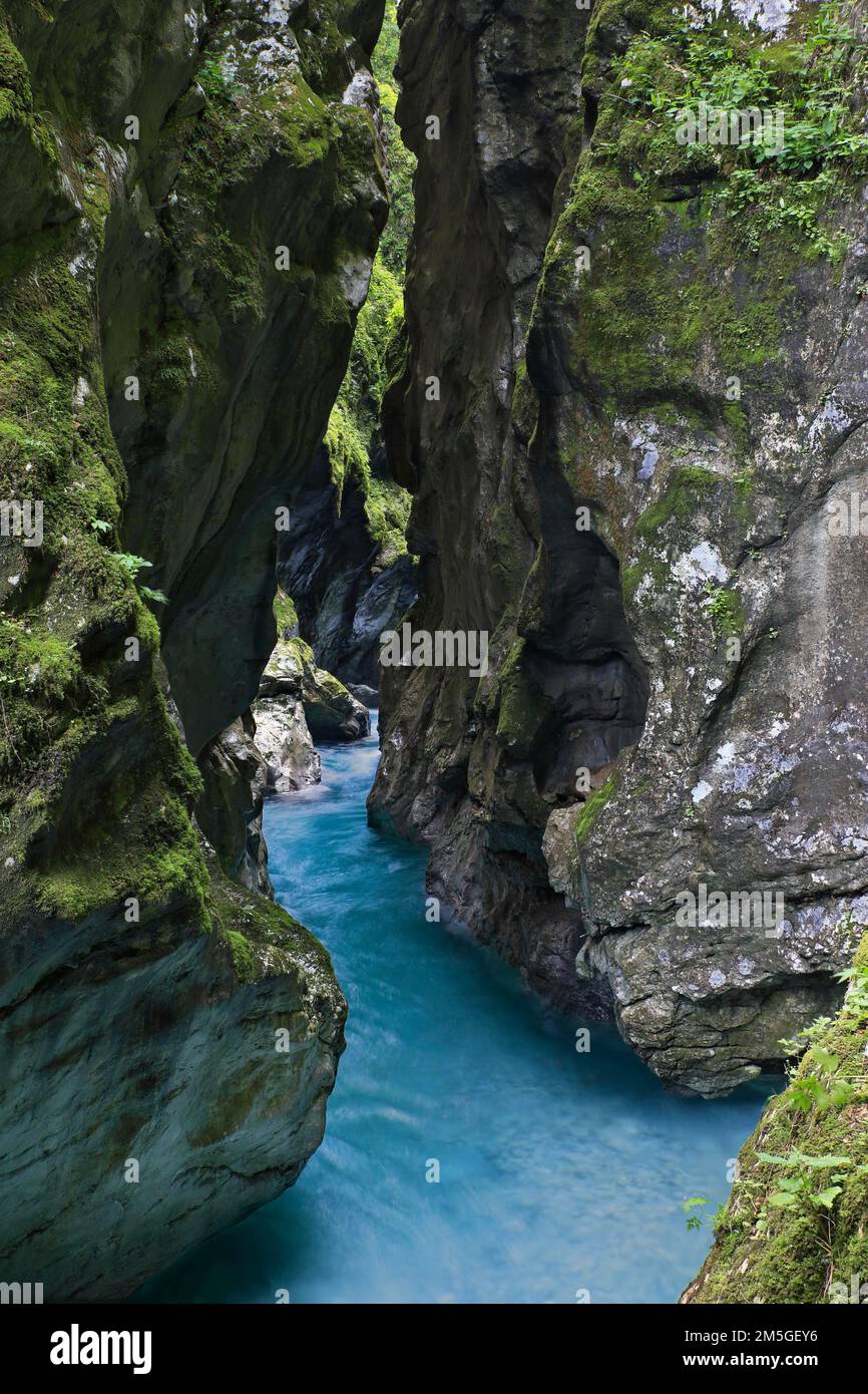 Gola Tolmin, gola con pareti rocciose ripide ricoperte di muschio, ruscello selvaggio con acqua blu, Slovenia Foto Stock