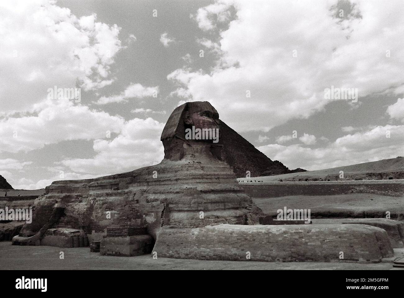 La Sfinge alle Piramidi di Giza complesso nel Grande Cairo, Egitto. Foto Stock