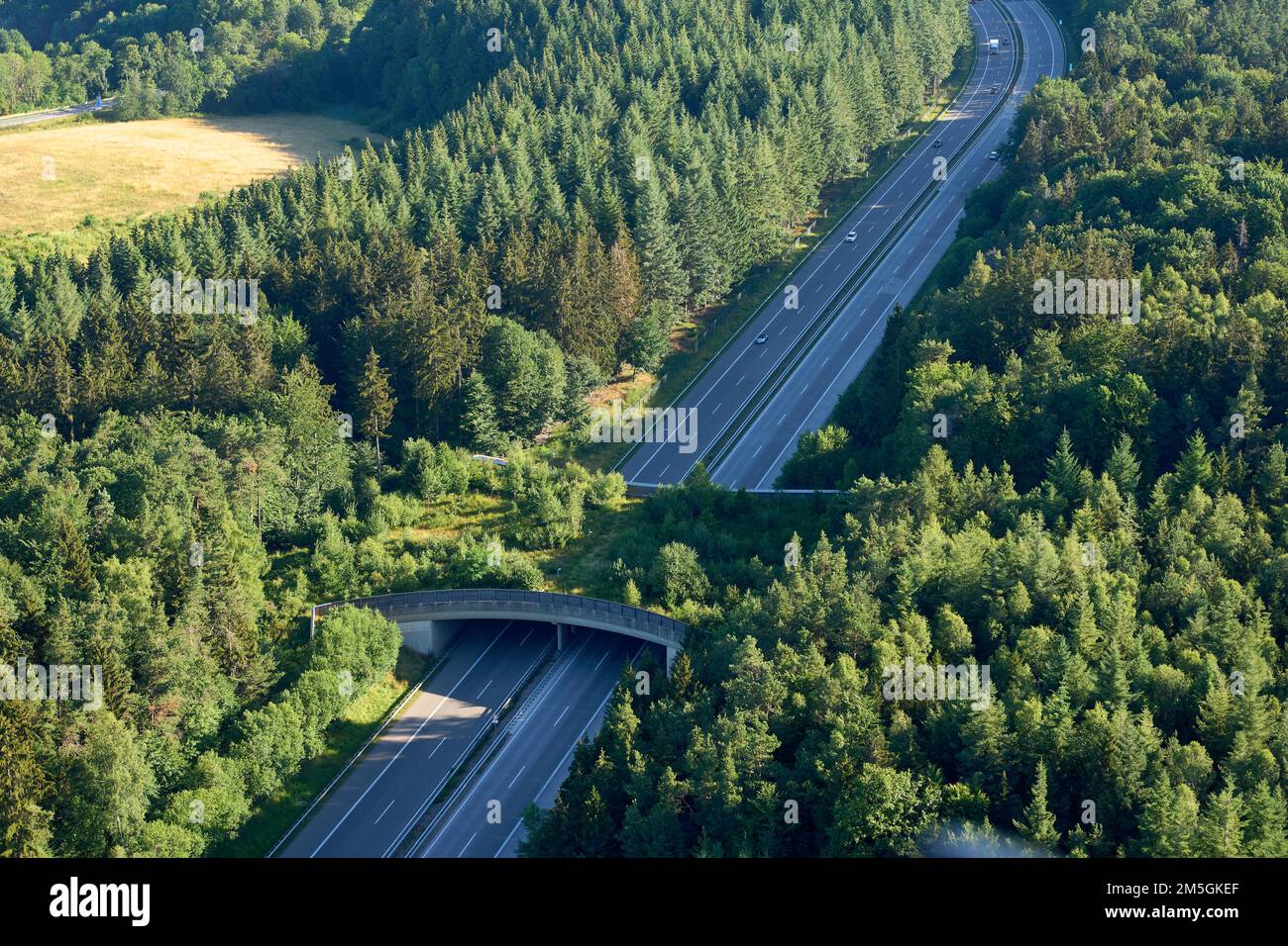 Game bridge sulla A1 vicino a Wittlich. Wittlich, Renania-Palatinato, Germania Foto Stock