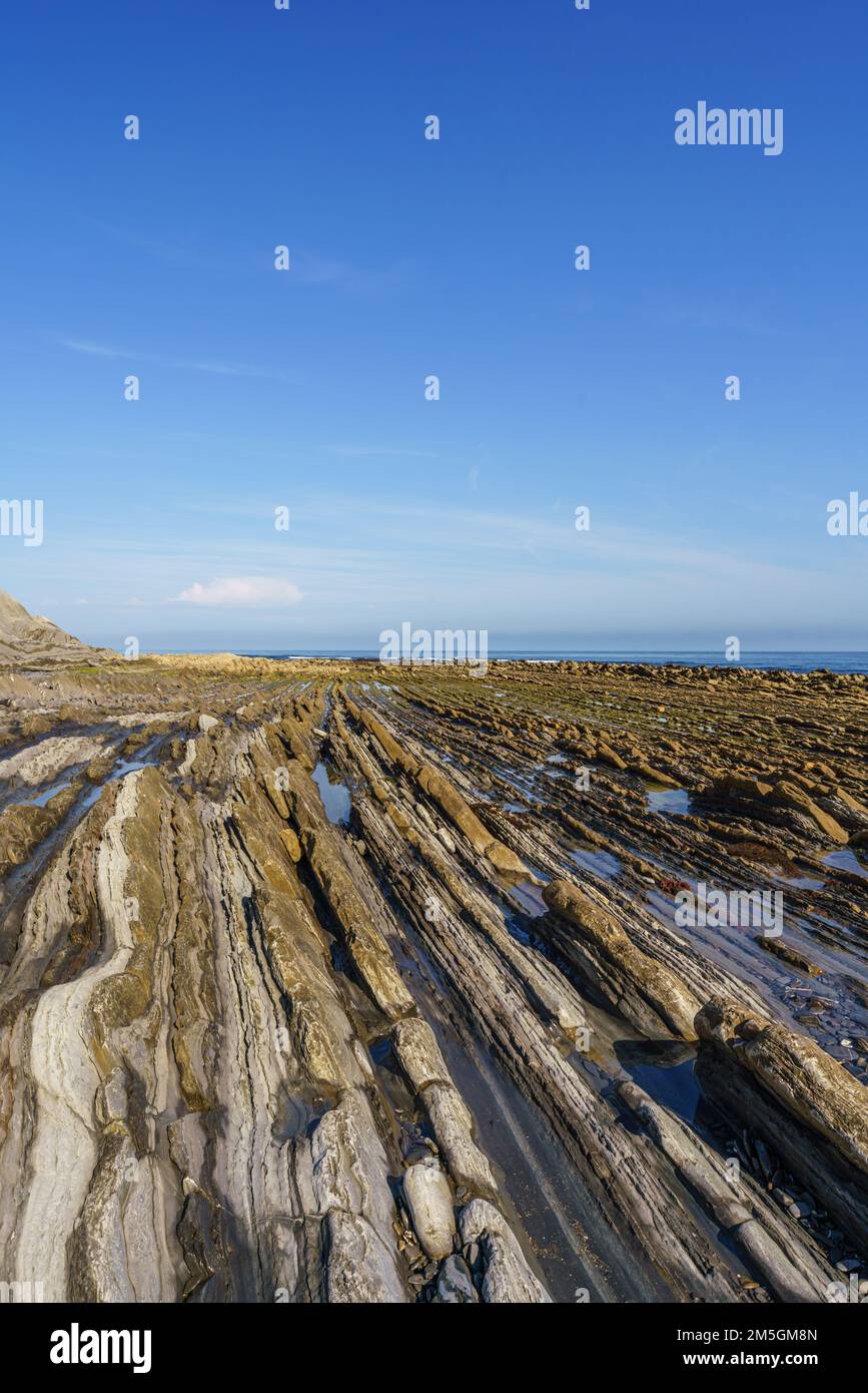 Flysch costa geologica, formazioni Flysch a Zumaya nei Paesi Baschi, Spagna Foto Stock
