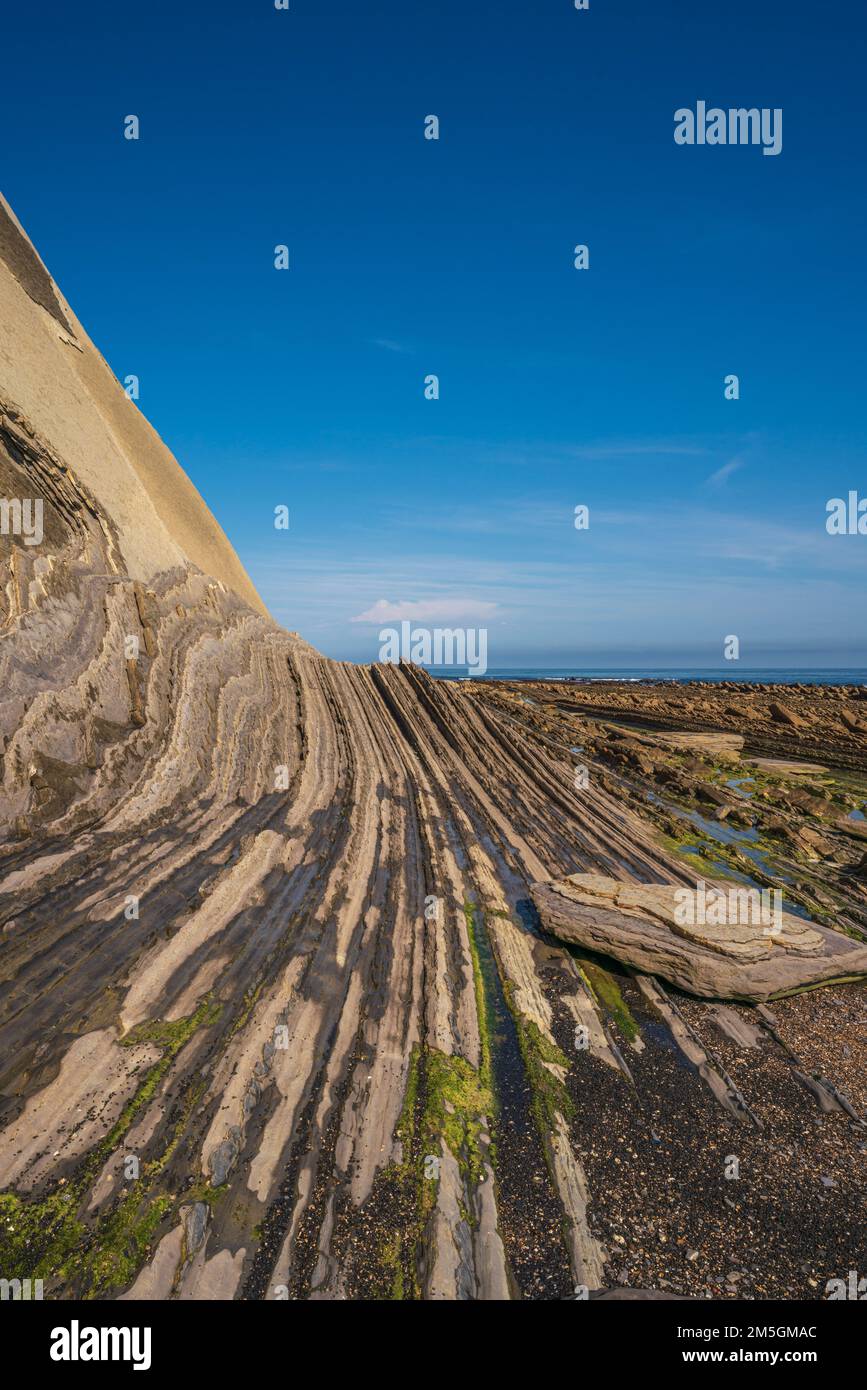 Flysch costa geologica, formazioni Flysch a Zumaya nei Paesi Baschi, Spagna Foto Stock