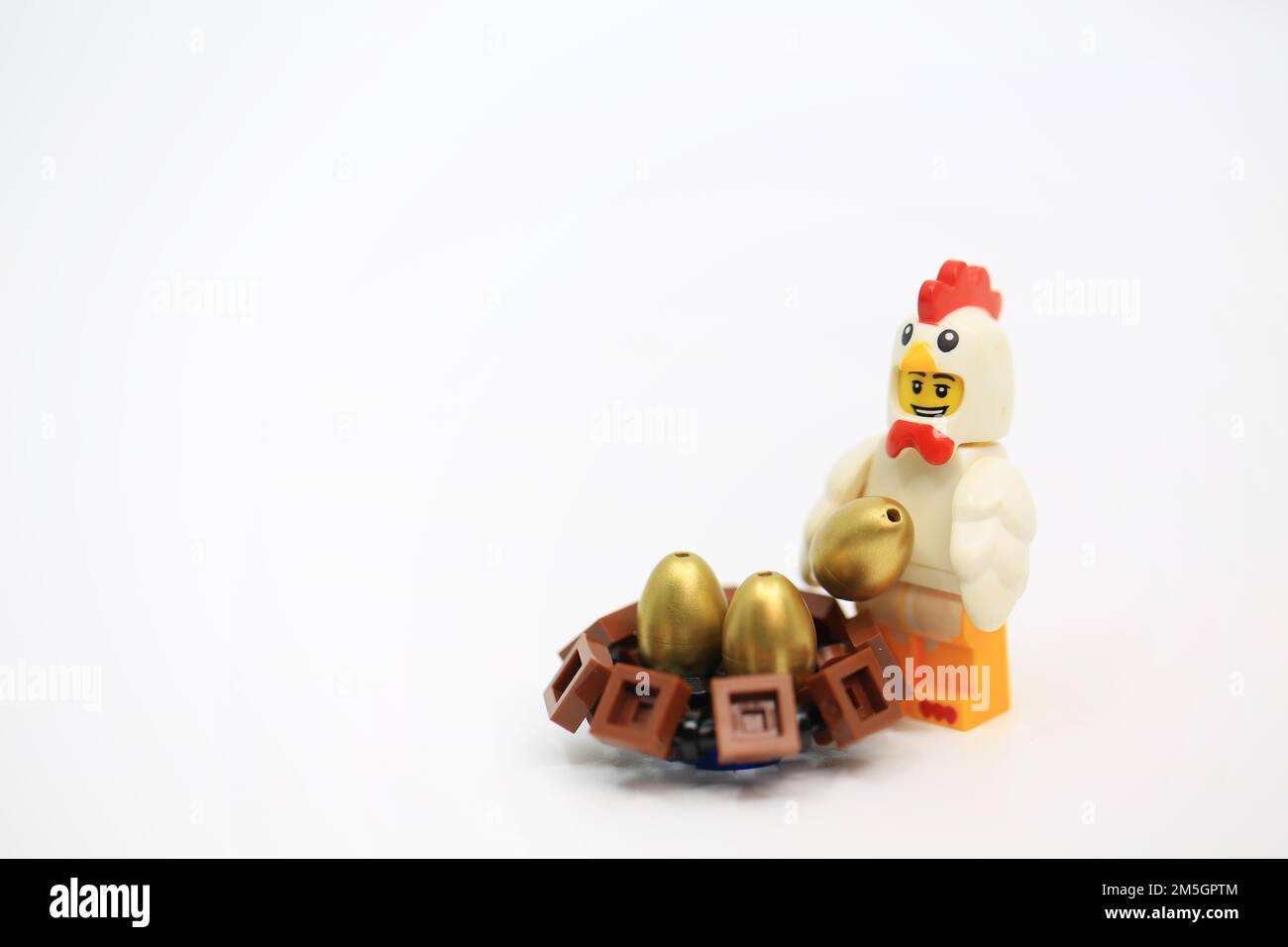 Il pollo ha ottenuto le uova dorate nella sua rete Foto Stock