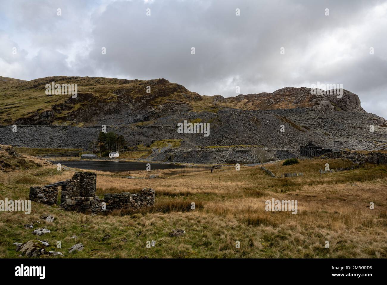 Case in rovina e edifici minerari in una valle di montagna gallese Foto Stock