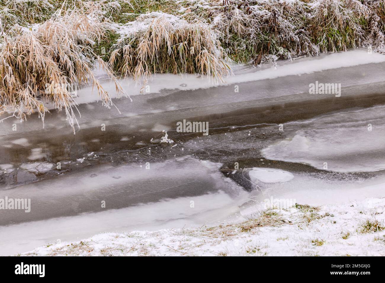 Un torrente completamente congelato con ghiaccio e neve in inverno in un paesaggio rurale con erba in riva al fiume, Germania Foto Stock