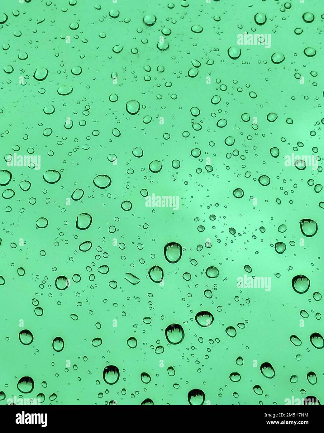 finestra con gocce di pioggia su sfondo verde. gocce di pioggia della finestra. Foto Stock