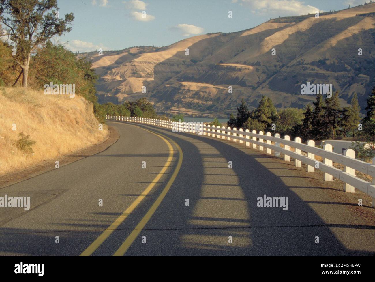 Storica Columbia River Highway - ringhiere bianche sulla Byway. Questa sezione della storica Columbia River Highway è costellata da una linea di binari bianchi, vicino al Rowena Loops. Oregon (45,679° N 121,292° W) Foto Stock