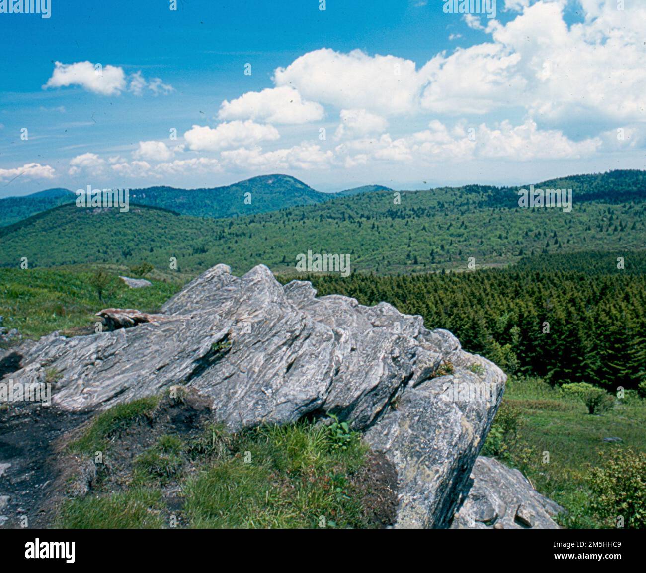 Forest Heritage National Scenic Byway - Shining Rock Wilderness. Da una vista rocciosa, la vista si apre all'orizzonte di pinete con paesaggi montuosi che si affacciano sullo sfondo. Questo vasto paesaggio è la Shining Rock Wilderness, una delle prime aree selvagge ad essere istituita con il passaggio del 1964 Wilderness Act. Shining Rock Wilderness, North Carolina (35,378° N 82,815° W) Foto Stock