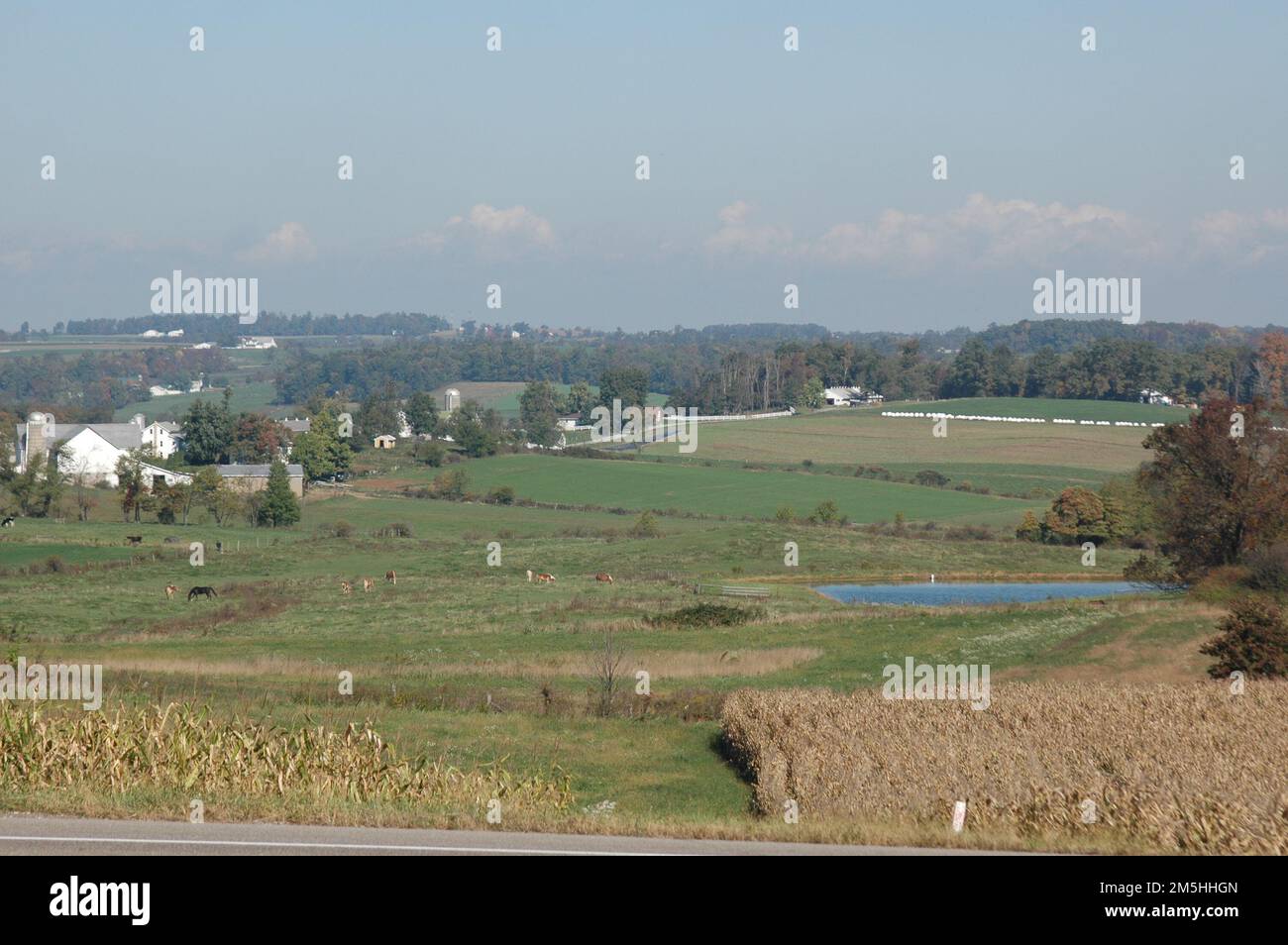 Amish Country Byway - terreno agricolo ricco. Le vedute dalla Amish Country Byway in Ohio riflettono la natura rurale della zona. Questa vista si trova di fronte alla Wendall August Forge. Località: Wendall August Forge, Ohio (40,601° N 81,744° W) Foto Stock