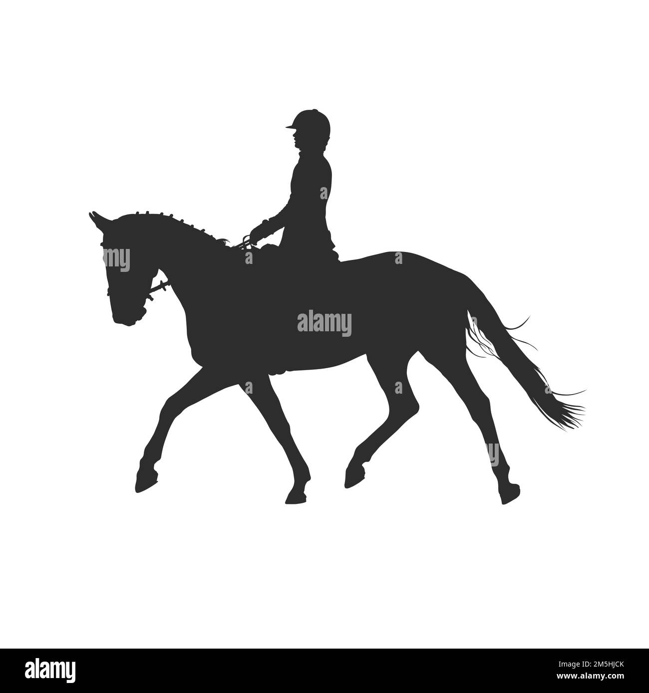 illustrazione vettoriale, il pilota controlla il cavallo da corsa, il dressage da competizione Illustrazione Vettoriale