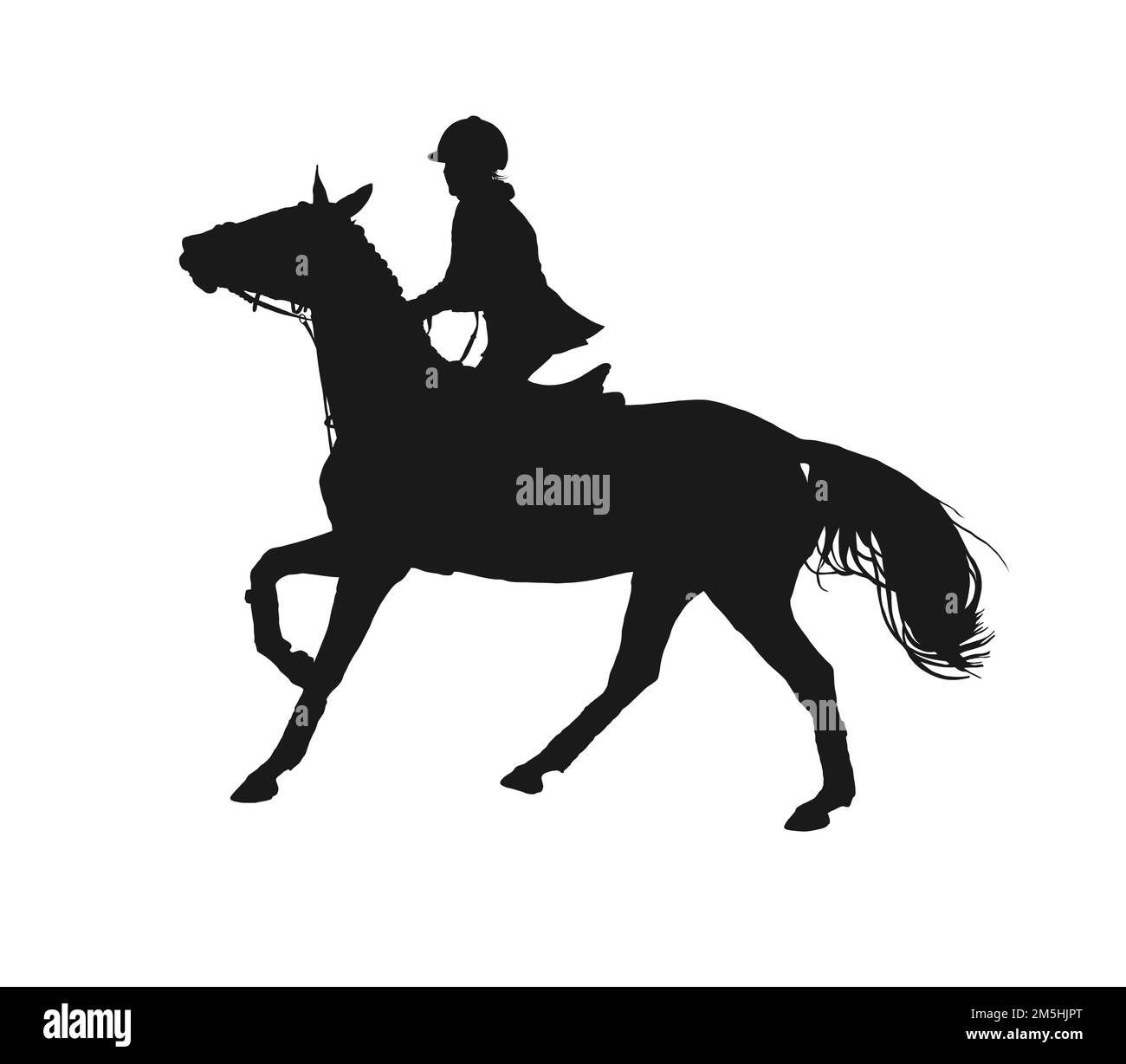 Sport equestri. Horsewoman. Silhouette immagine vettoriale di ragazza a cavallo Illustrazione Vettoriale