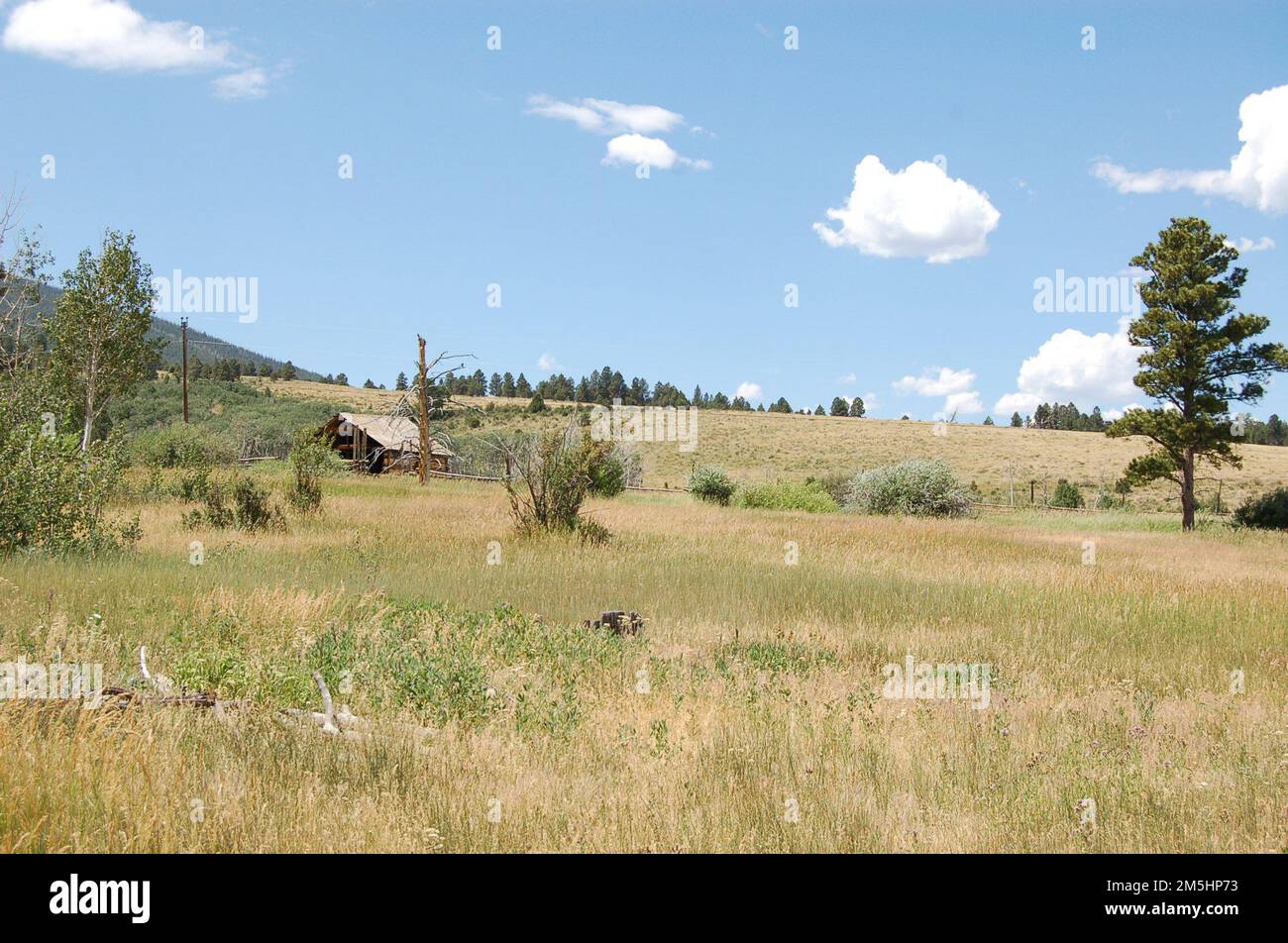 Flaming Gorge-Uintas National Scenic Byway - Granary in the Mountains. Il granaio di Swett Ranch si trova nel folto delle colline e delle valli della Ashley National Forest. Località: Swett Ranch, Flaming Gorge National Recreation Area, Utah (40,879° N 109,488° W) Foto Stock