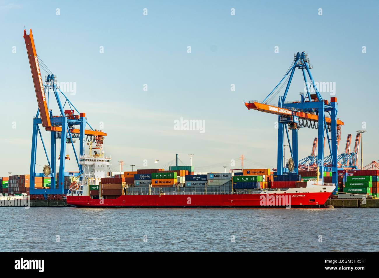 Container e impianti portuali presso un terminal per container Burchardkai nella zona portuale di Amburgo, Germania Foto Stock
