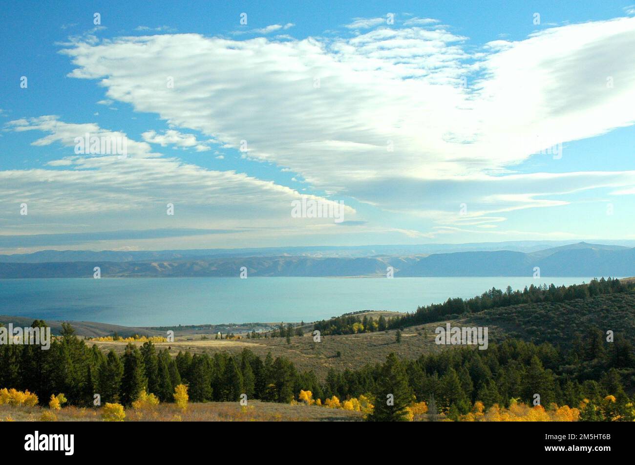 Logan Canyon Scenic Byway - Brilliant Sky sul Logan Canyon. Un cielo blu brillante copre gli alberi giallo chiaro e verde scuro sulla Logan Canyon Scenic Byway. Location: (41,932° N 111,432° W) Foto Stock