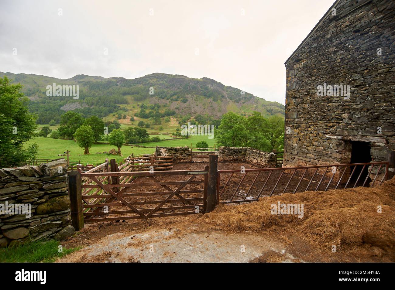 Edifici agricoli e recinzioni in disuso, parco nazionale del distretto del lago, Regno Unito, GB, Foto Stock