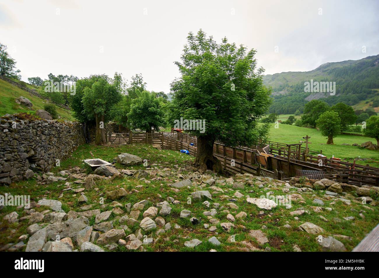 Edifici agricoli e recinzioni in disuso, parco nazionale del distretto del lago, Regno Unito, GB, Foto Stock