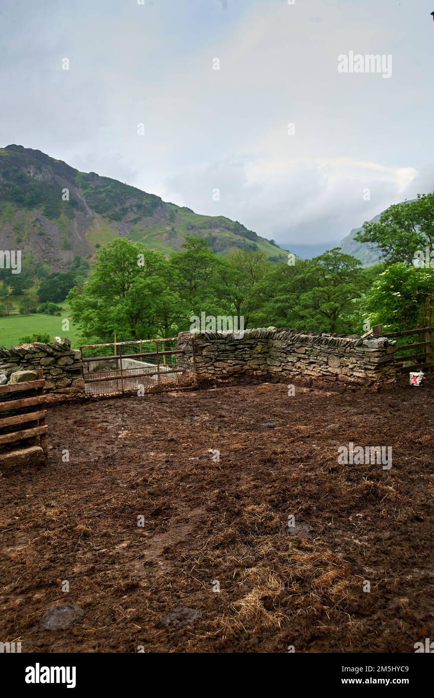 Edifici agricoli e recinzioni in disuso, parco nazionale del distretto del lago, Regno Unito, GB, Foto Stock