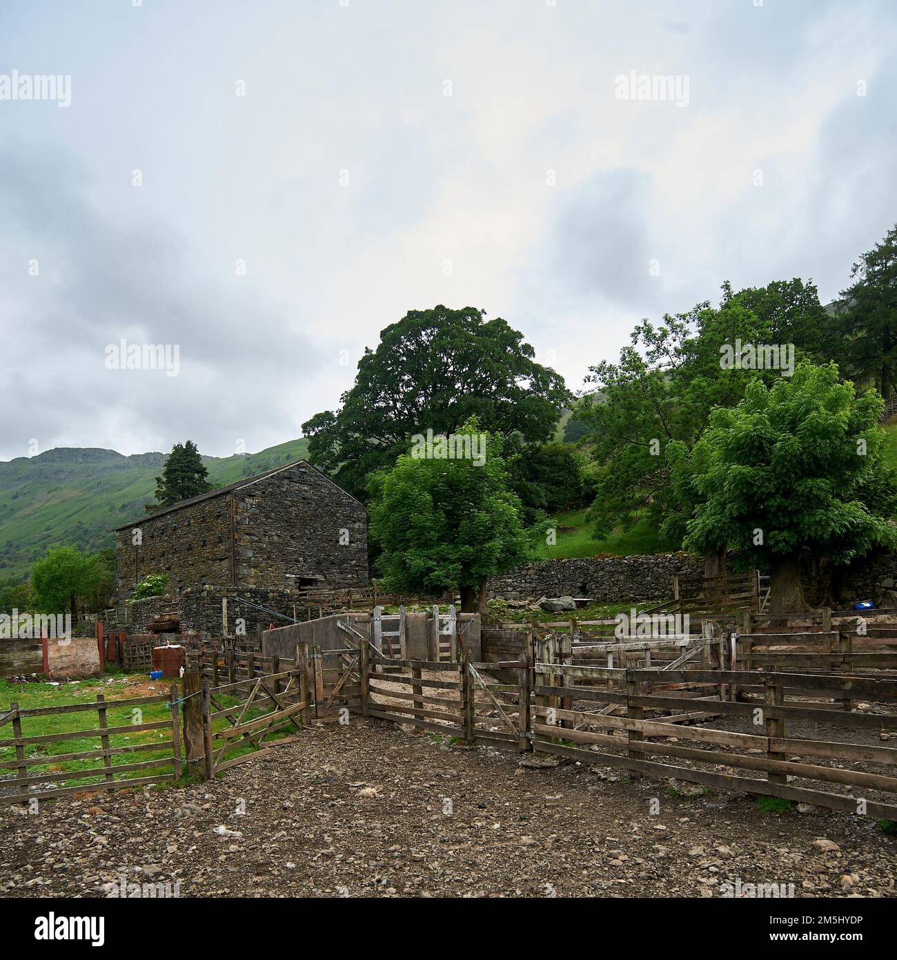 Edifici agricoli e recinzioni in disuso, parco nazionale del distretto del lago, Regno Unito, GB, Foto Stock