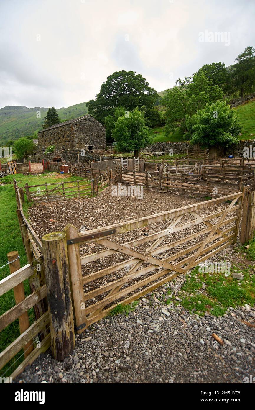 Edifici agricoli e recinzioni in disuso, parco nazionale del distretto del lago, Regno Unito, GB, Foto Stock