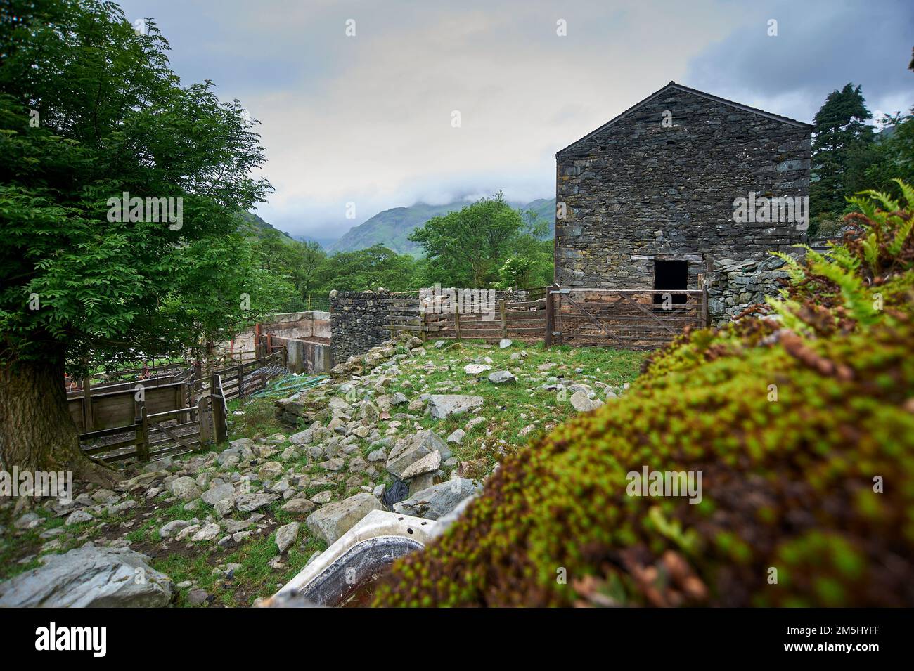 Edifici agricoli e recinzioni in disuso, parco nazionale del distretto del lago, Regno Unito, GB, Foto Stock
