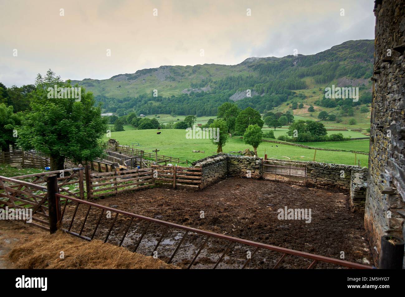 Edifici agricoli e recinzioni in disuso, parco nazionale del distretto del lago, Regno Unito, GB, Foto Stock