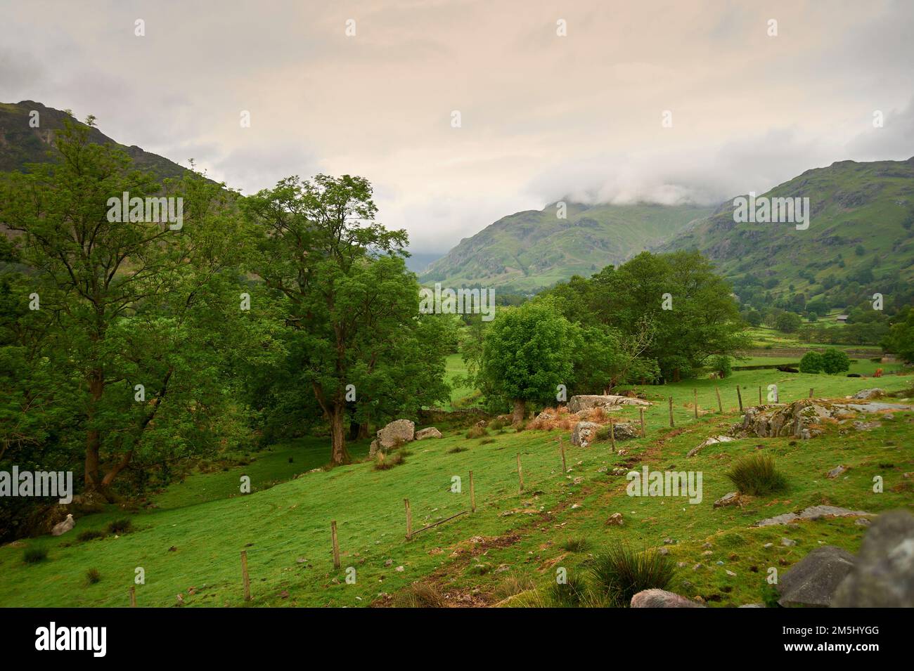 Vecchi edifici di fattoria vicino Hawkshead nel Parco Nazionale del Distretto dei Laghi, Cumbria, Inghilterra. REGNO UNITO, GB. Foto Stock