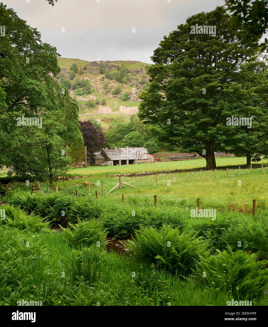 Vecchi edifici di fattoria vicino Hawkshead nel Parco Nazionale del Distretto dei Laghi, Cumbria, Inghilterra. REGNO UNITO, GB. Foto Stock