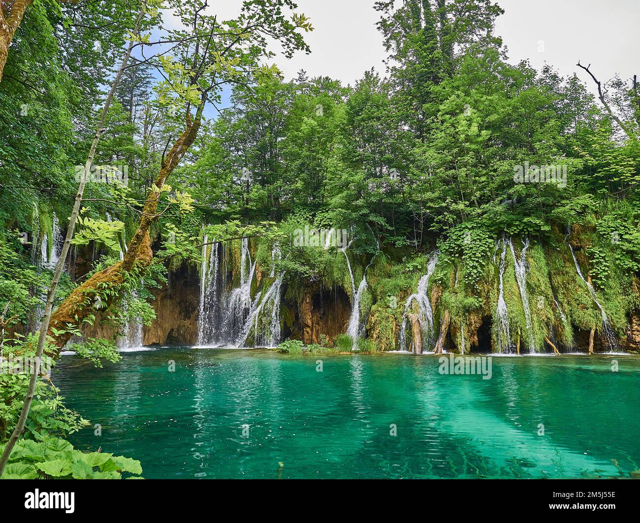 I laghi di Plitvice in Croazia sono una destinazione turistica popolare tra laghi e torrenti turchesi in un paesaggio d'acqua pittoresco e vulnerabile Foto Stock