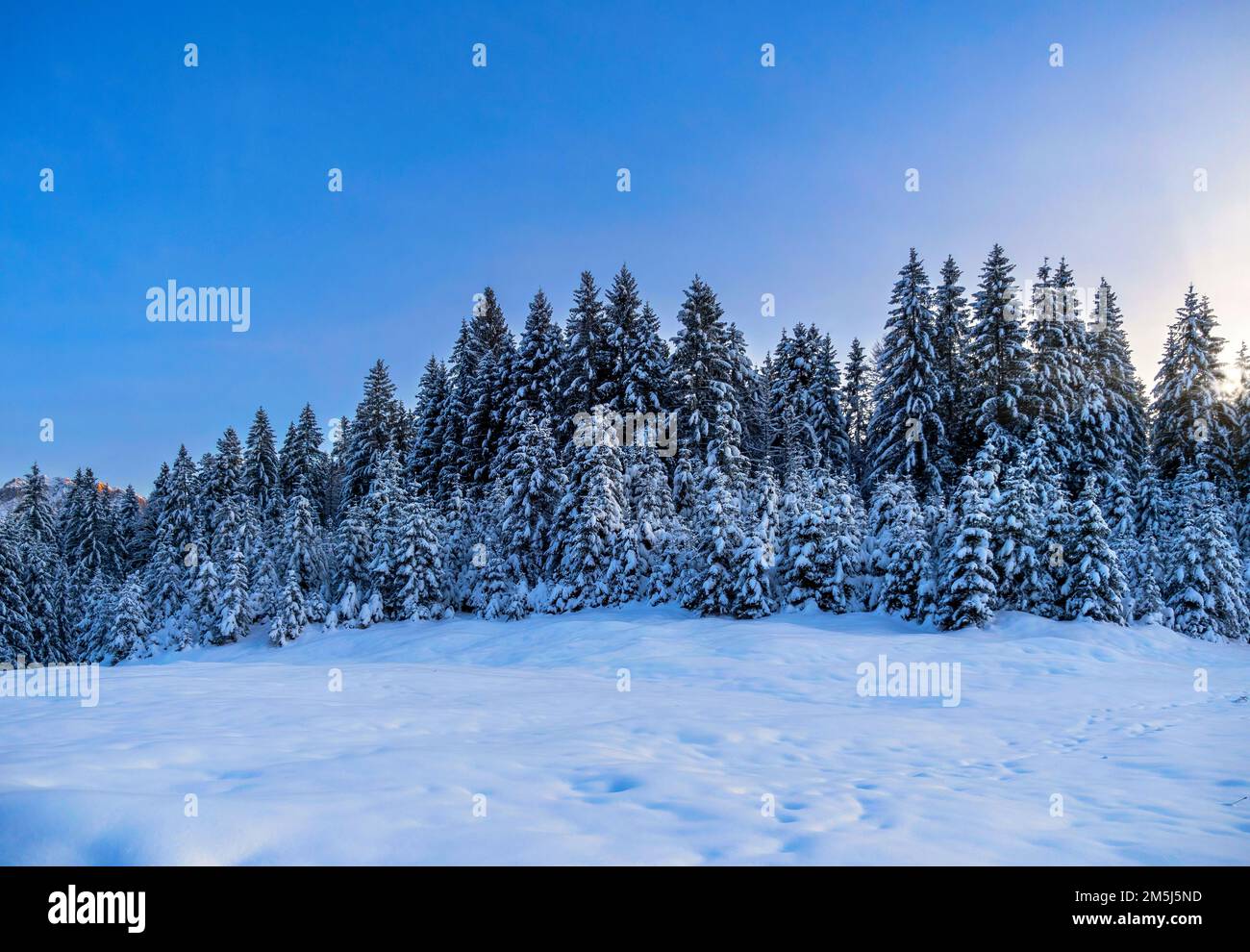 Snow landscape a Elmau, Alta Baviera, Baviera, Germania, Europa Foto Stock