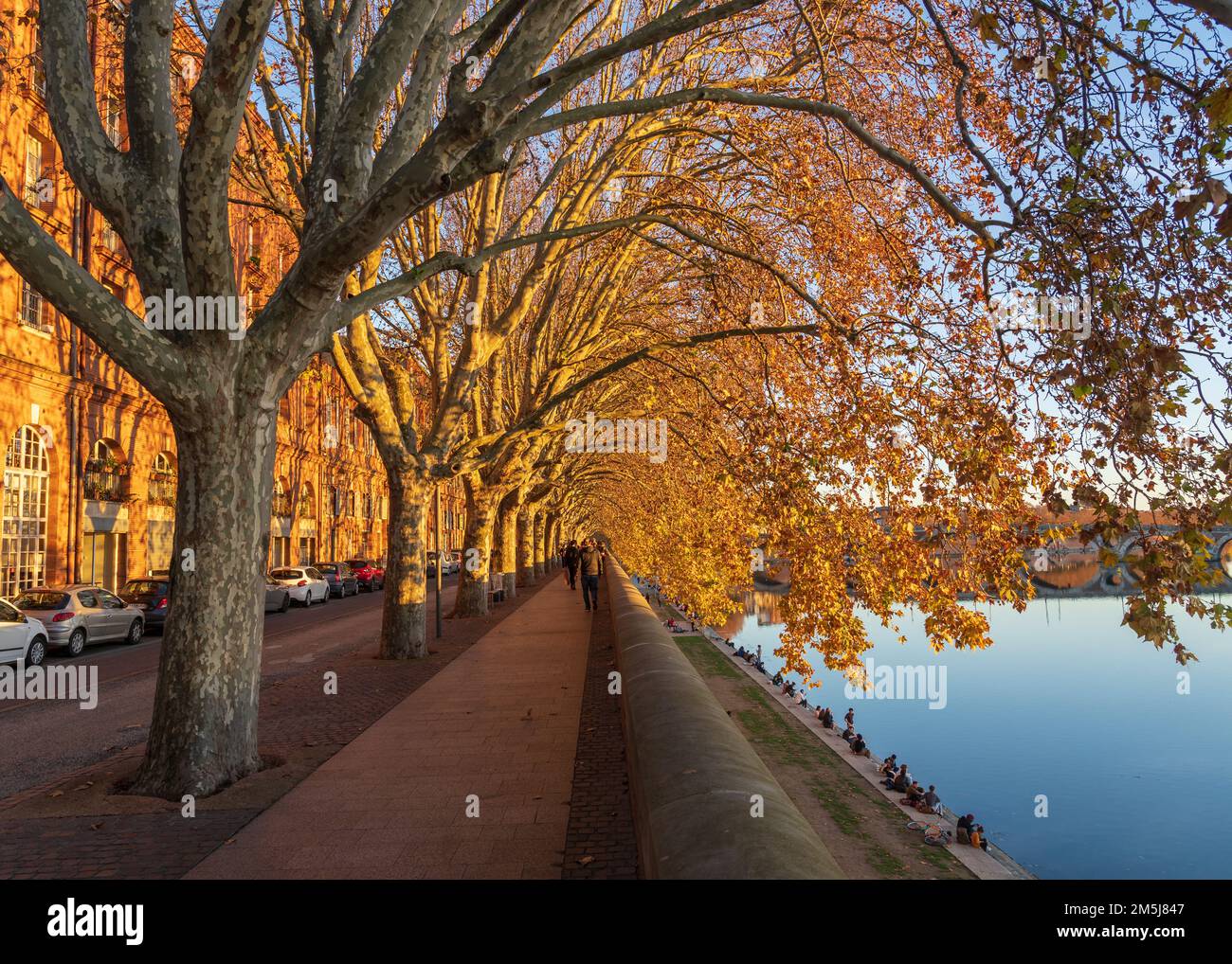 Tolosa, Francia - 12 21 2022 : Autunno paesaggio vista sul Quai de la Daurade lungo il fiume Garonna nella famosa città rosa durante l'ora d'oro Foto Stock