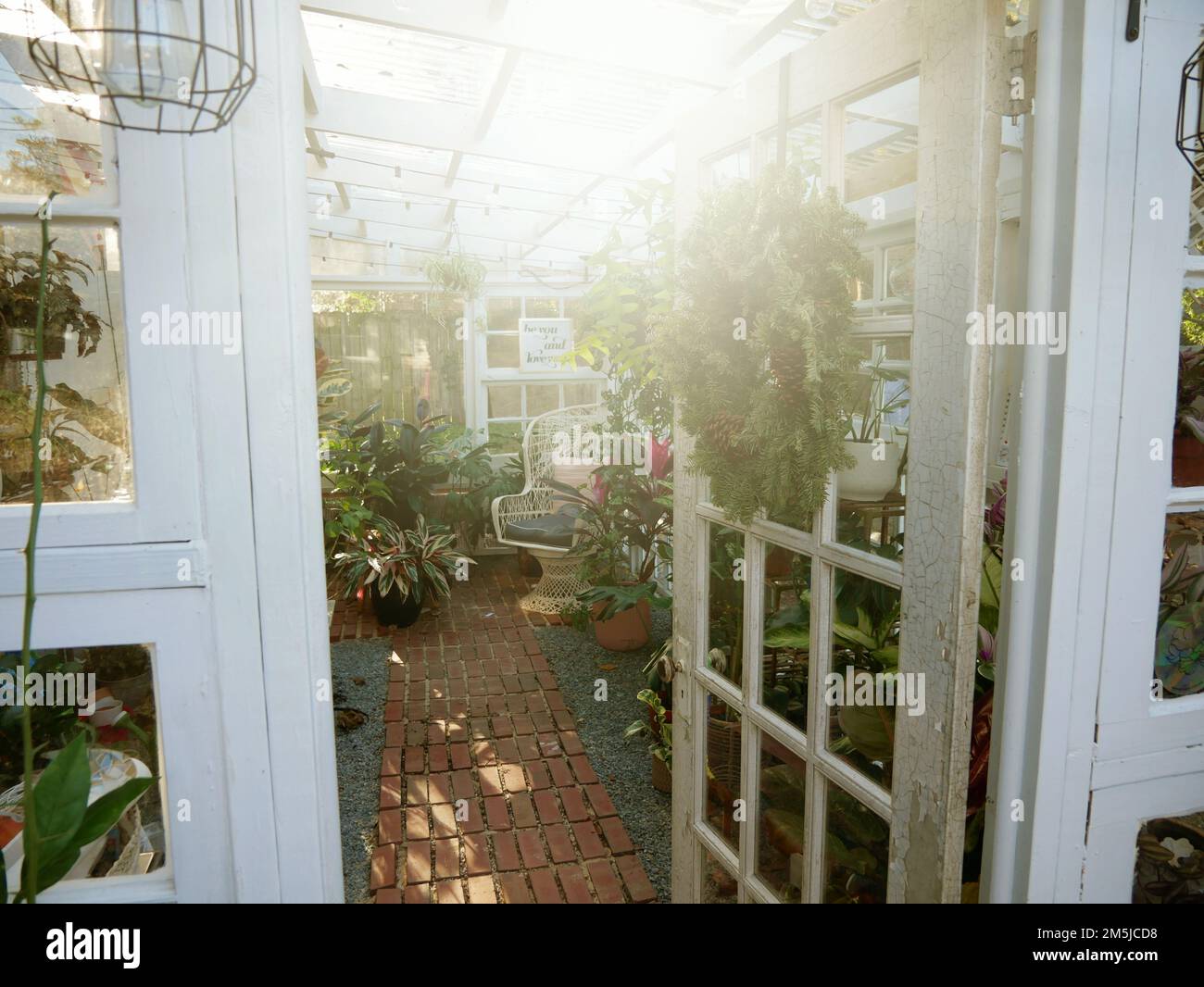 Interno della serra Foto Stock