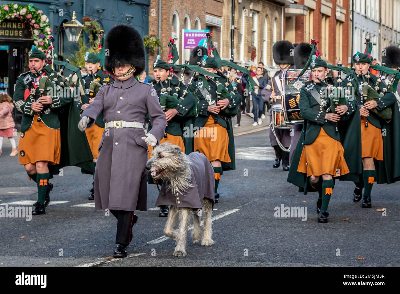 La mascotte delle Guardie irlandesi 'Seamus', Windsor, Berkshire, Regno Unito Foto Stock