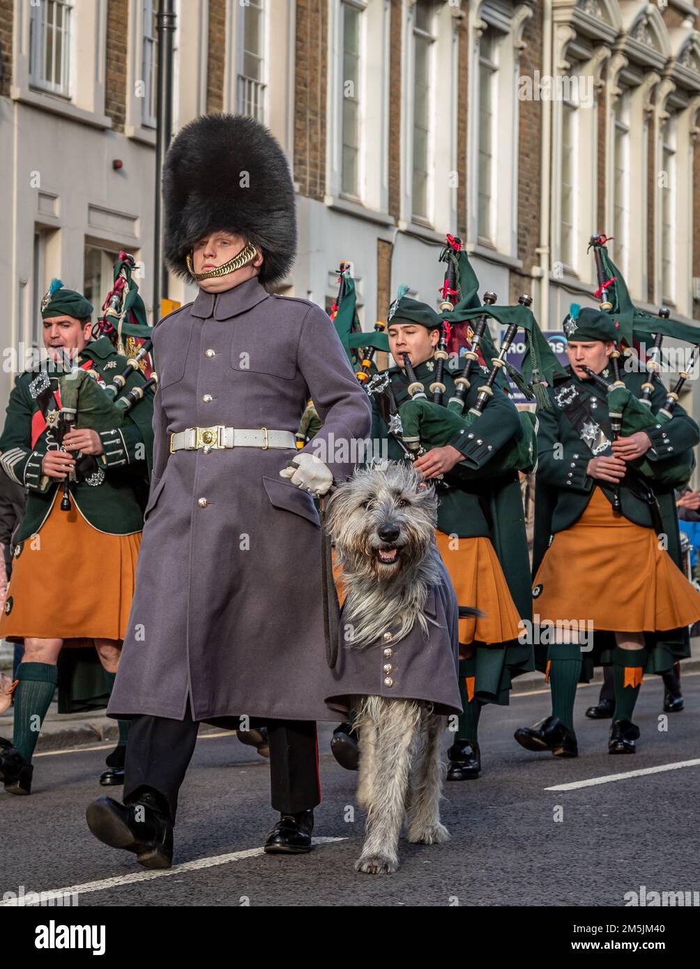 Irish Guards Piper e Irish Wolfhound 'Seamus', Windsor, Berkshire, Regno Unito Foto Stock