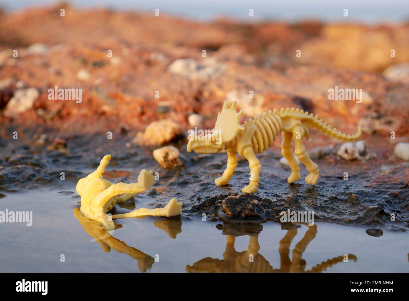 I dinosauri giocattolo modellano T-rex e Triceratop Fight Foto Stock