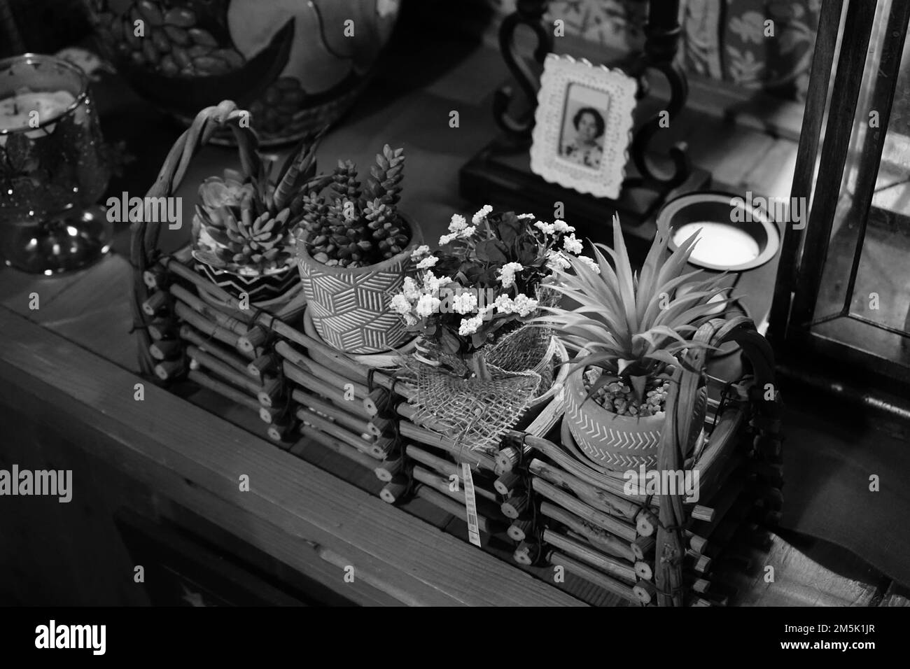 Una scala di grigi di una casa piante al tavolo Foto Stock