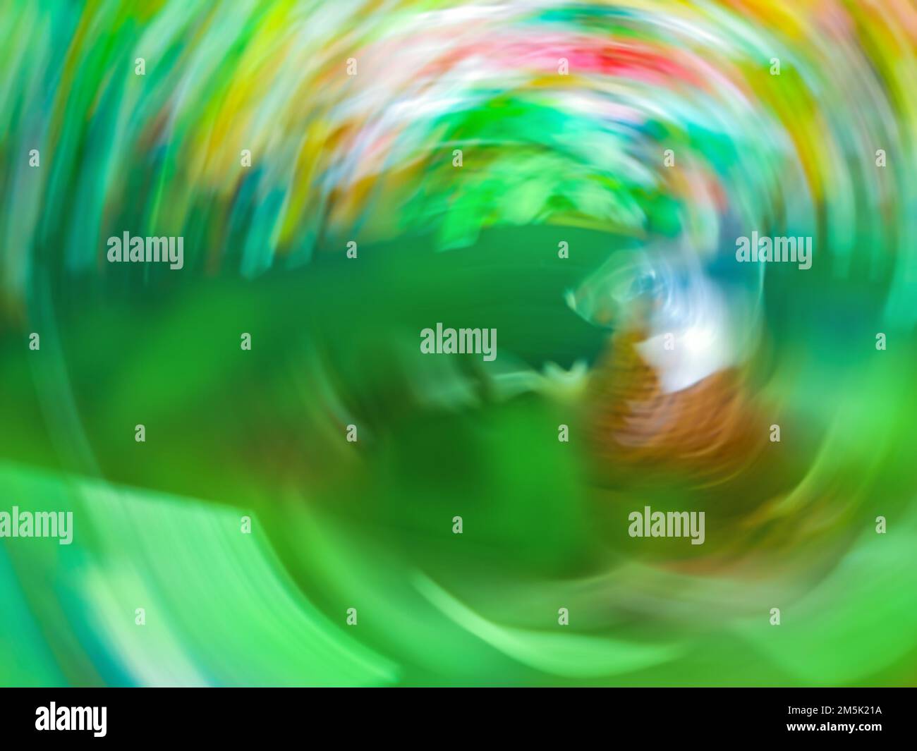 Multicolore primavera o estate sfondo sfocato. Sole giorni primavera o estate natura astratta sfondo sfocato. Foto Stock