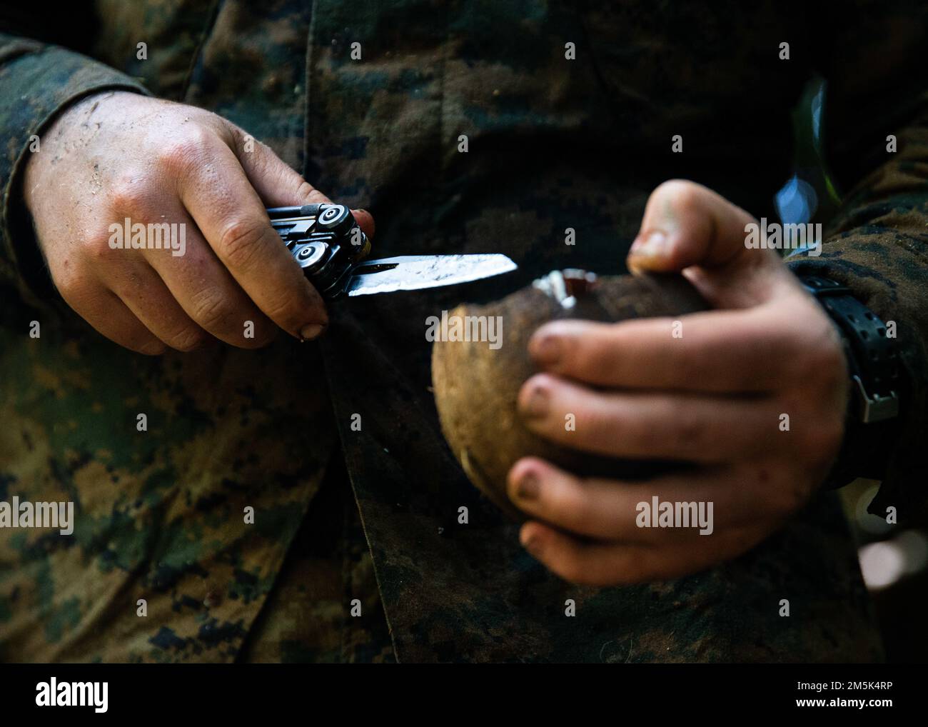 NEGLI STATI UNITI Marine con Battalion Landing Team 1/5, 31st unità di spedizione marina (MEU), taglia in una noce di cocco durante un esercizio sperimentale di addestramento nella giungla, base navale Guam, Guam, 21 marzo 2022. Esercizio Noble Arashi fa parte della Nobile Serie di esercizi del MEU 31st che vengono utilizzati per convalidare o invalidare la Famiglia di concetti Navali, sviluppare tecniche e procedure per l'impiego di beni dell'MEU a sostegno della negazione del mare e della manovra della flotta, e informare il futuro progetto di forza e gli sforzi di sperimentazione. Il MEU 31st opera a bordo di navi dell'America Strike Group nella flotta di OPE 7th Foto Stock