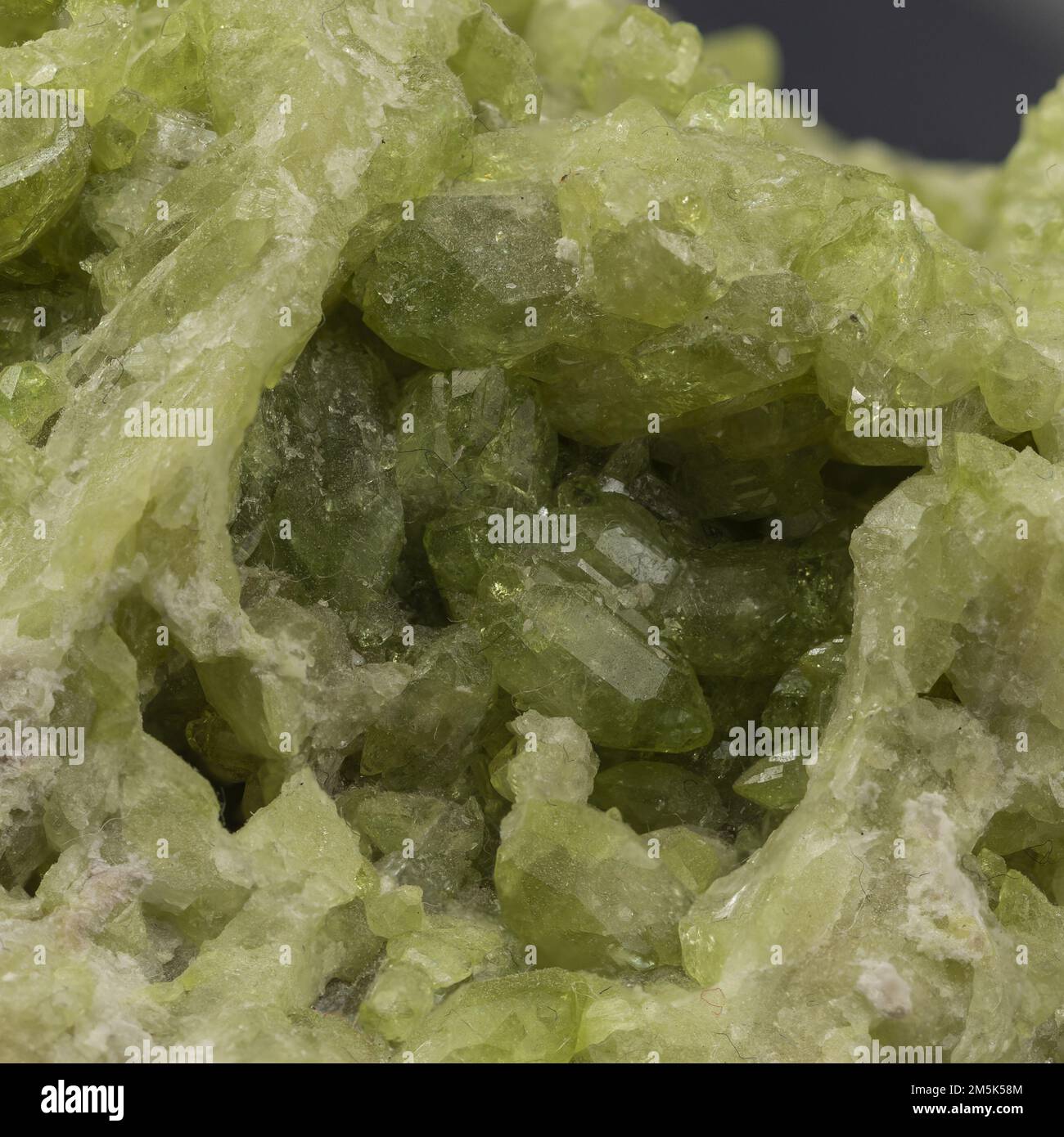 cristalli di un minerale verde appartenente alla classe dei sorosilicati Foto Stock
