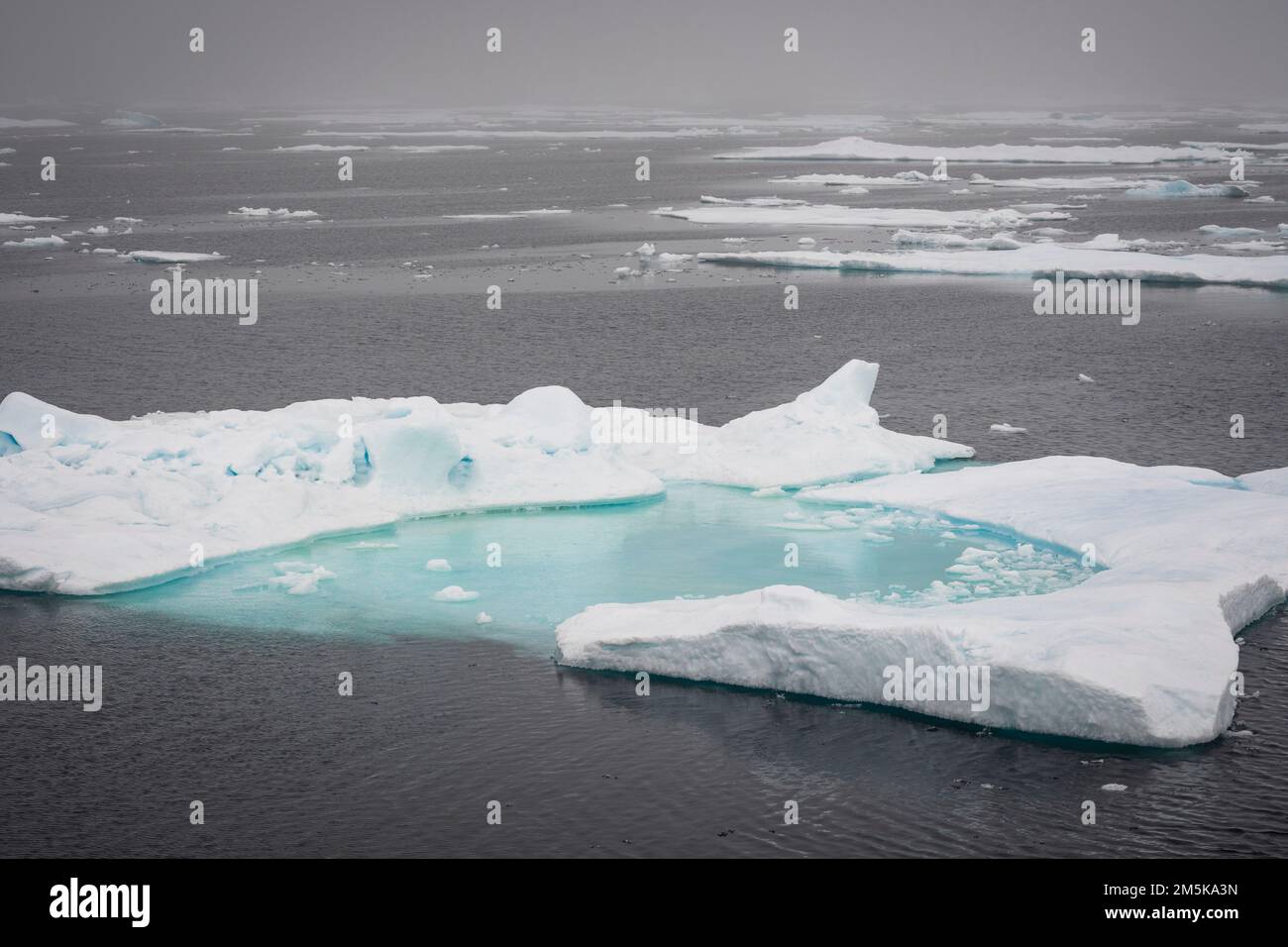 Ghiaccio marino sparso nel nord del Canada. Foto Stock