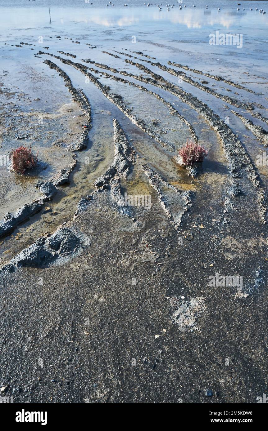 Tracce di auto nella palude di un lago salato a Limassol, Cipro. Foto Stock