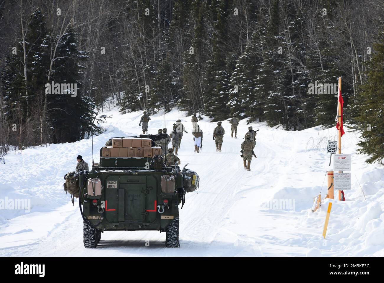 I fanti smontati dal Battaglione del 3rd, 21st reggimento di fanteria si spostano per contattare attraverso l'Area di addestramento Donnelly durante il Centro multinazionale di preparazione Joint Pacific 22-02, 22 marzo 2022. Questo esercizio è stato progettato per convalidare la squadra di combattimento di Stryker Brigade 1st dell'esercito degli Stati Uniti in Alaska, la formazione, la preparazione e le capacità di 25th Infantry Division per il freddo. (Foto esercito/John Pennell) Foto Stock