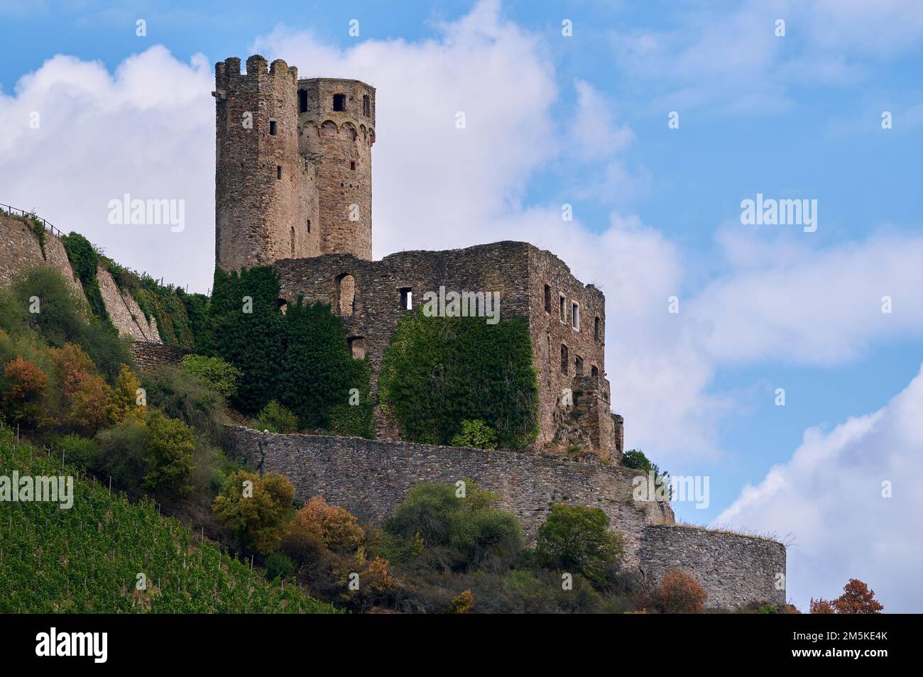 Rovine del castello medievale di Ehrenfels costruito nel 1212. Situato in cima a una collina vicino a Rudesheim Germany, si affaccia sul fiume Reno. Foto Stock