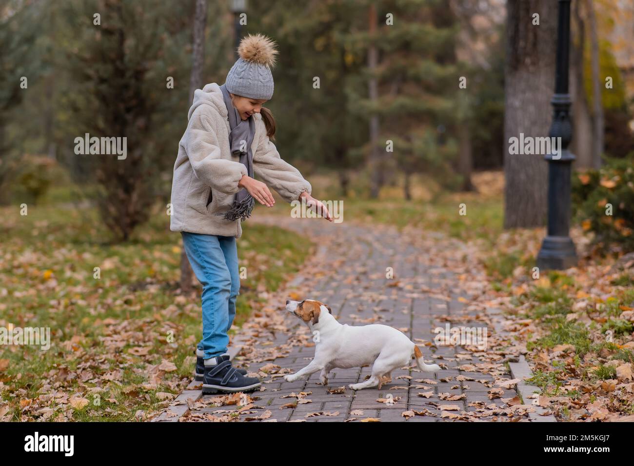 Ragazza caucasica che gioca con un cane per una passeggiata nel parco autunnale. Foto Stock