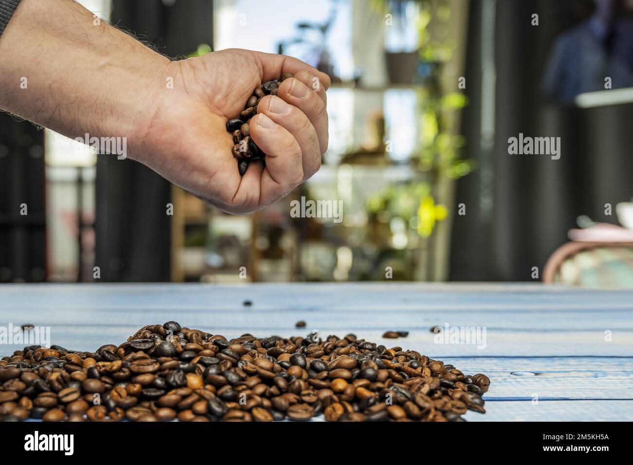 Primo piano di una mano che mescola un mazzo di chicchi di caffè tostati Foto Stock