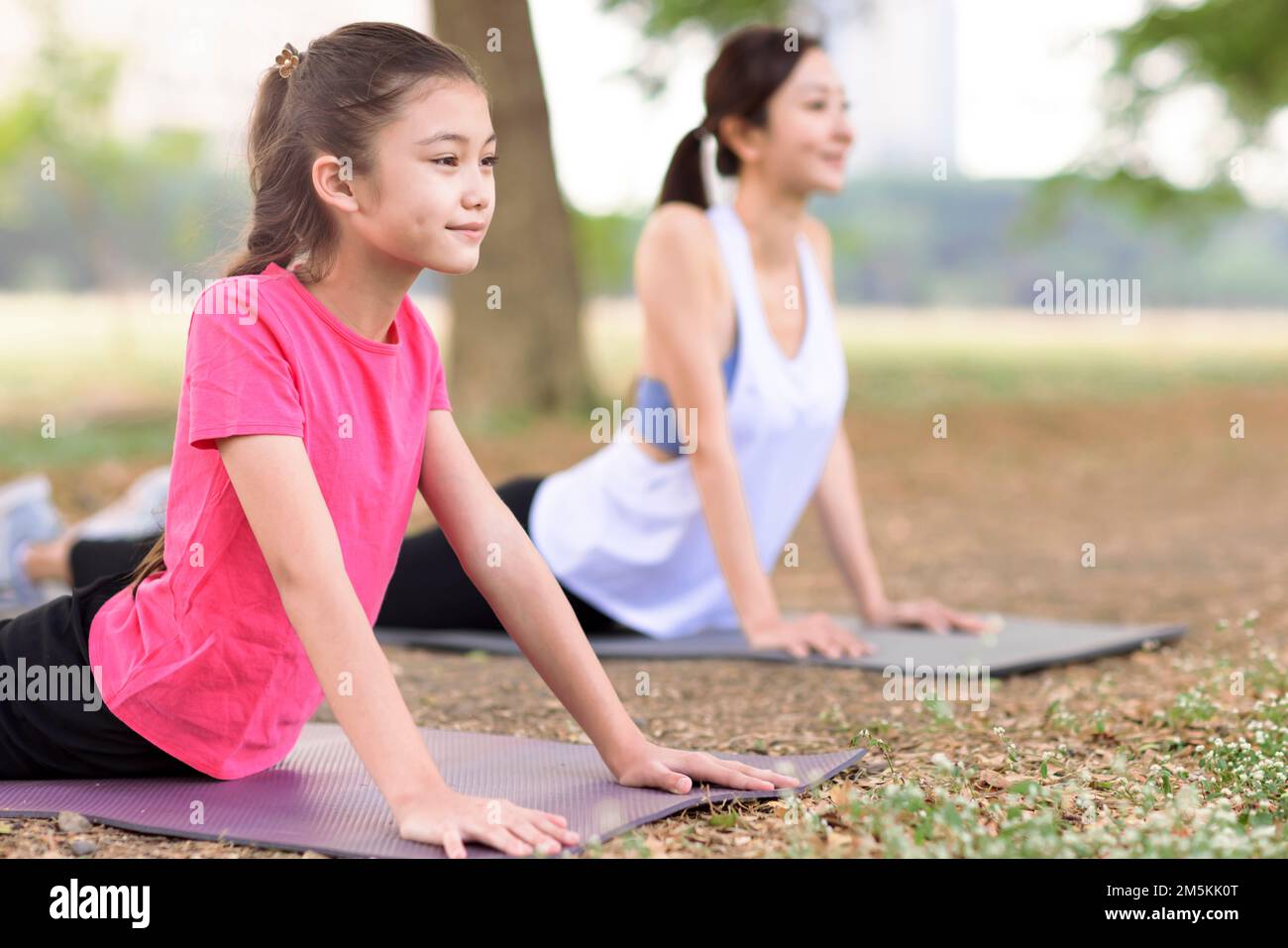 Madre e figlia che fanno esercizi di yoga sull'erba nel parco Foto Stock