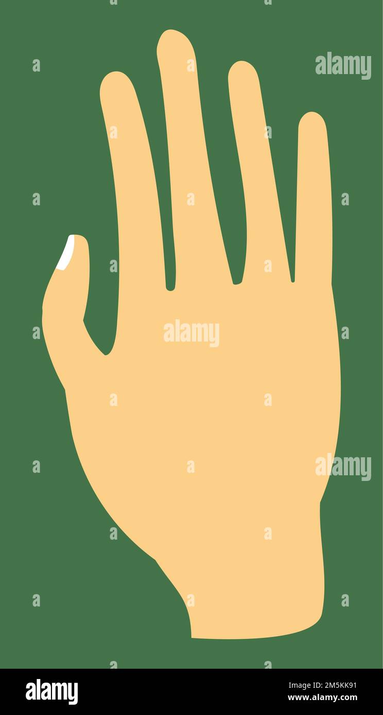 Una mano, una palma, una parte del corpo umano, una mano umana, un'illustrazione della mano, colore della pelle con fondo verde, disegno a mano con stile artistico minimalista Foto Stock