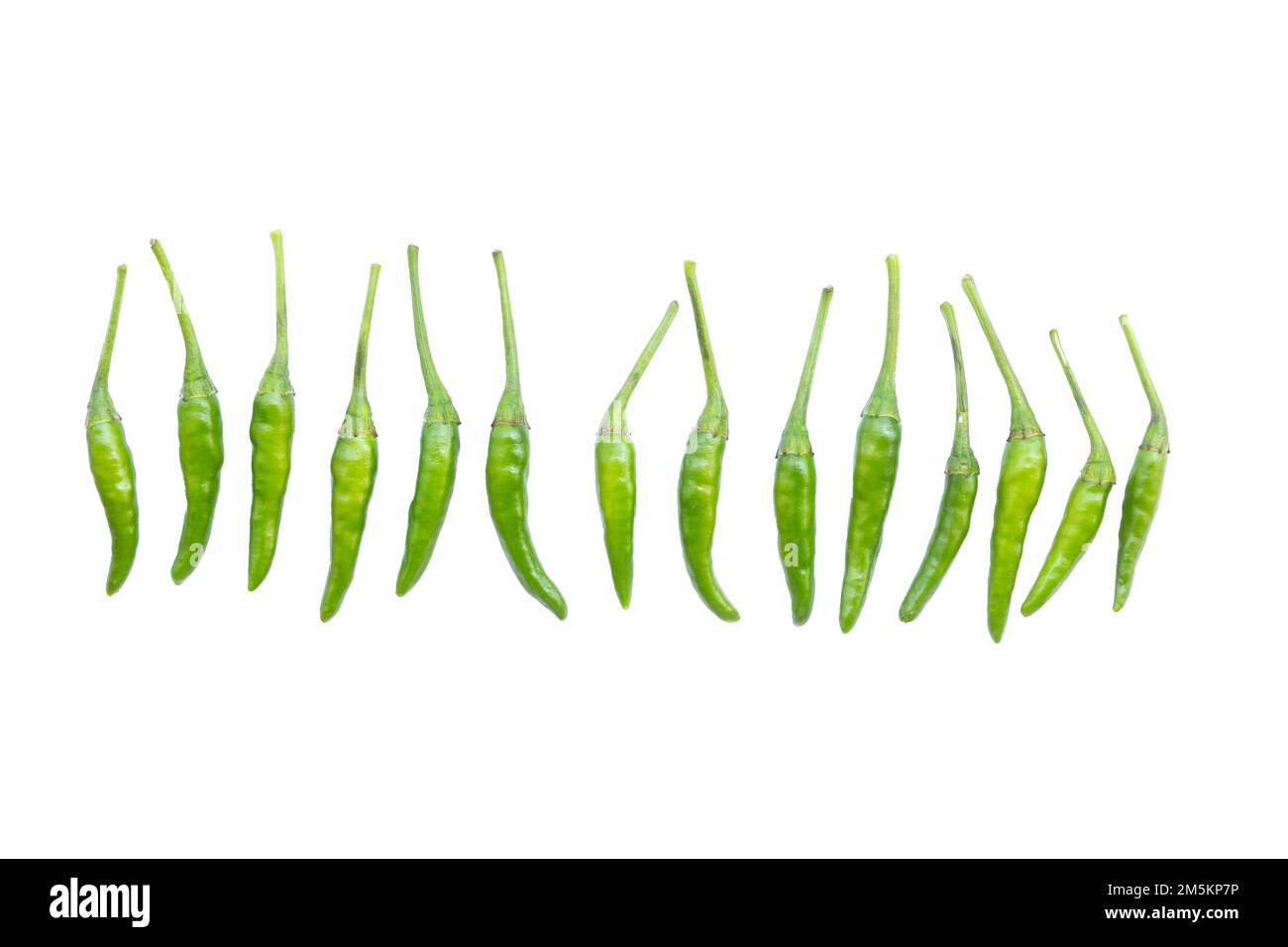 Piccoli peperoncini verdi conosciuti anche come Capsicum annuum (peperoncini) e Capsicum frutescens isolati su bianco Foto Stock