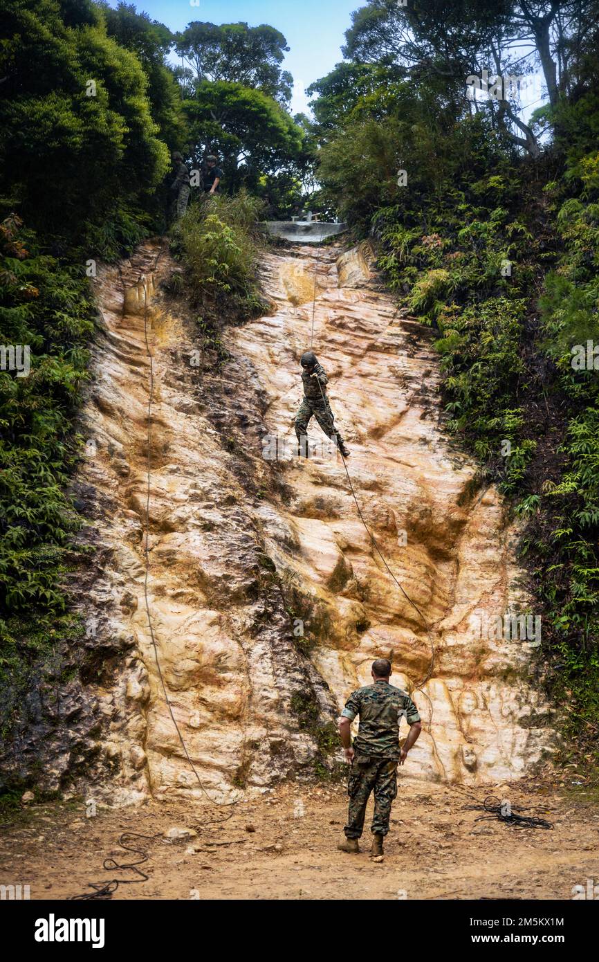 NEGLI STATI UNITI Marine with III Marine Expeditionary Force Information Group conduce un rappel affrettato durante l'addestramento del rappel nella giungla al Jungle Warfare Training Center, Camp Gonsalves, Okinawa, Giappone, marzo 23, 2022. Il rappelling faceva parte di un esercizio generale di Jungle Field condotto dal 21 al 25 marzo. Durante il FEX, III MIG Marines ha praticato la loro capacità di condurre operazioni distribuite in un ambiente austero. JWTC fornisce terreno impegnativo che si trova su molte delle isole dell'Indo-Pacifico. La padronanza di questo terreno contribuisce alla capacità di III MIG di impiegare diverse modalità di maneu a bassa firma Foto Stock
